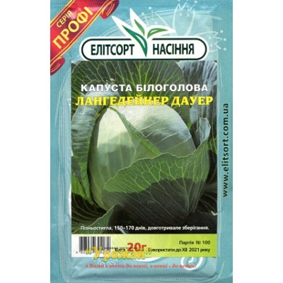 Насіння капуста білоголова Лангедейкер Дауер, 20 г